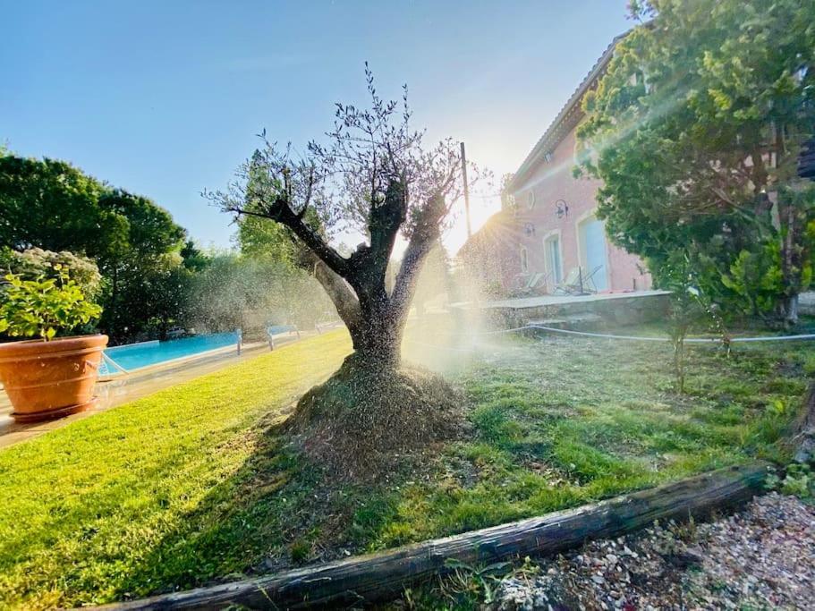 Appartement Le Loft Occitanie Sud de France à Ceilhes-et-Rocozels Extérieur photo